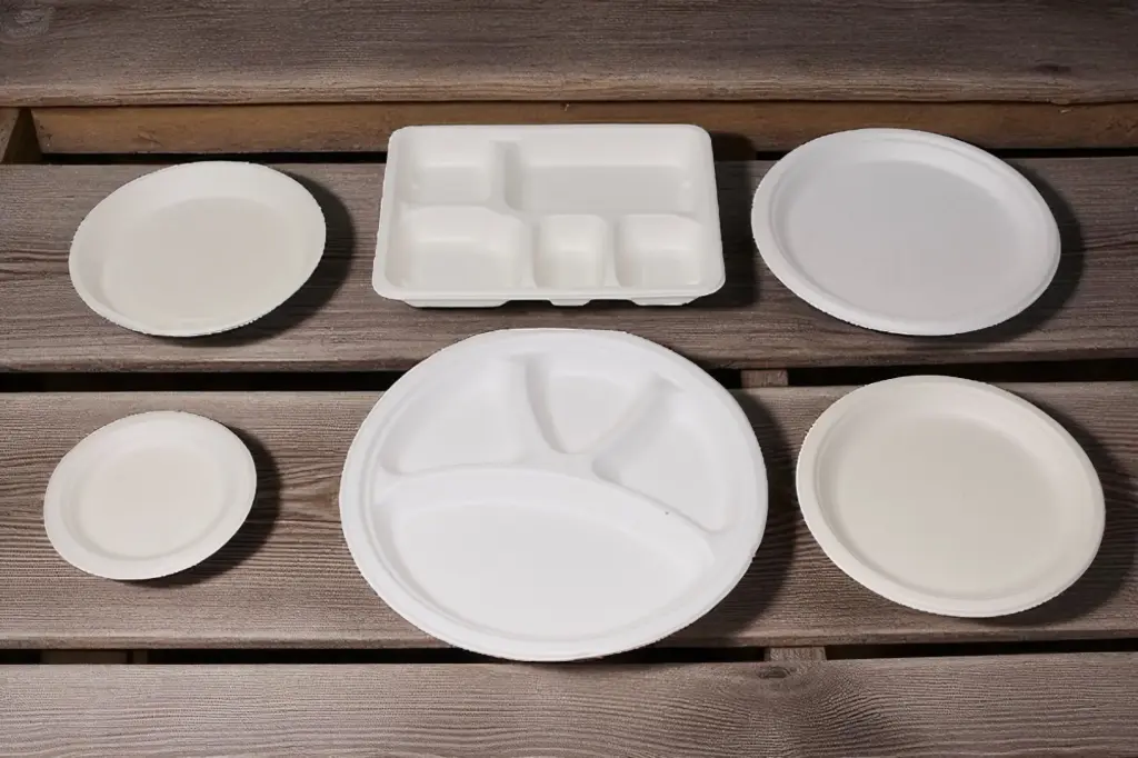 Biodegradable plates and trays 